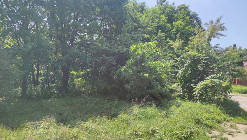Działka Sprzedaż Wiktorów